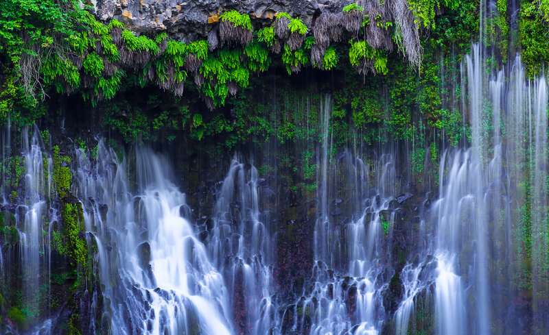 Waterfall on Mossy Cliff — Green, Serene, Photograph, Moss, Rock, Vegetation