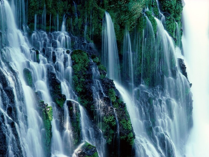 Waterfall on Mossy Cliff — Green, Serene, Photograph, Moss