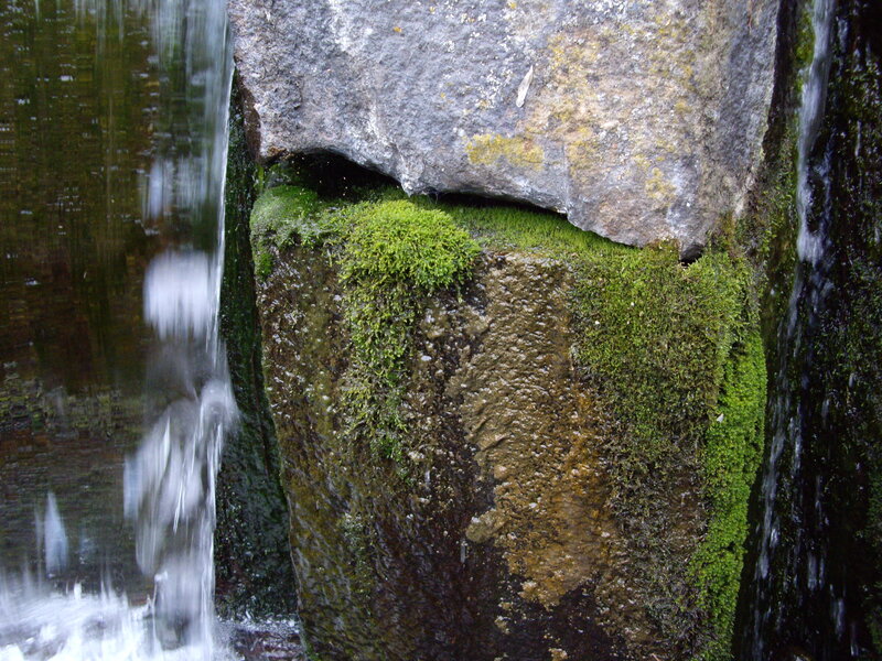 Waterfall on mossy rocks