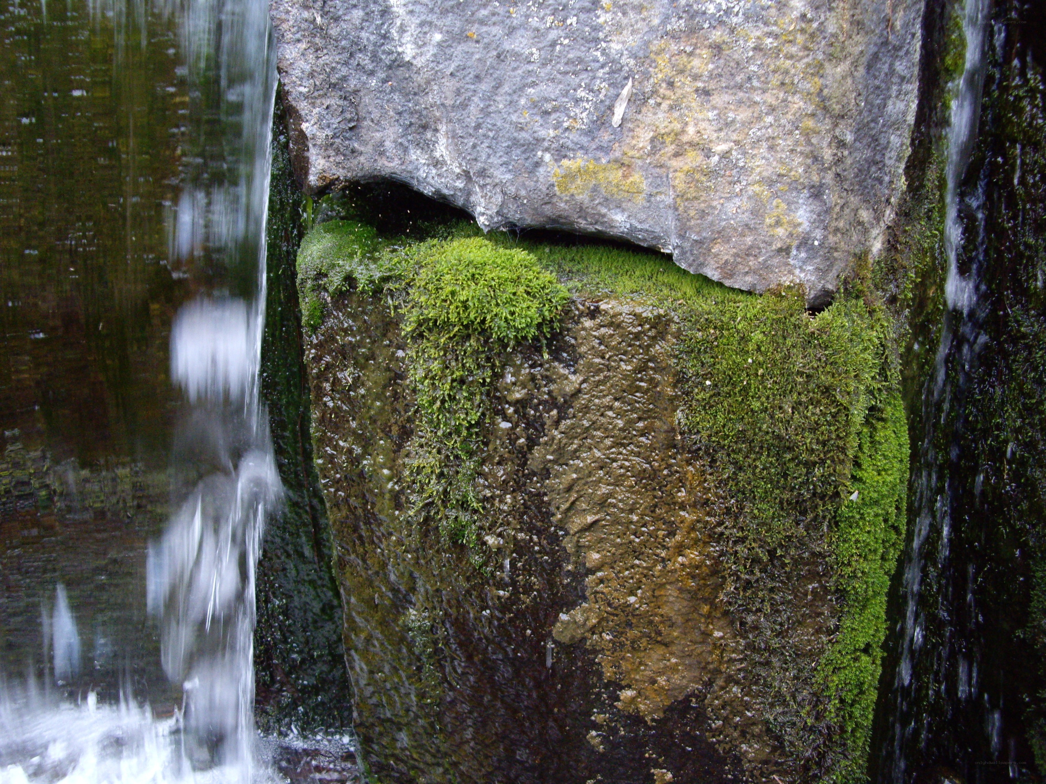 Waterfall on mossy rocks