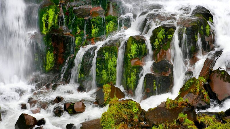 Waterfall on Mossy Rocks — Green, Dynamic, Photograph