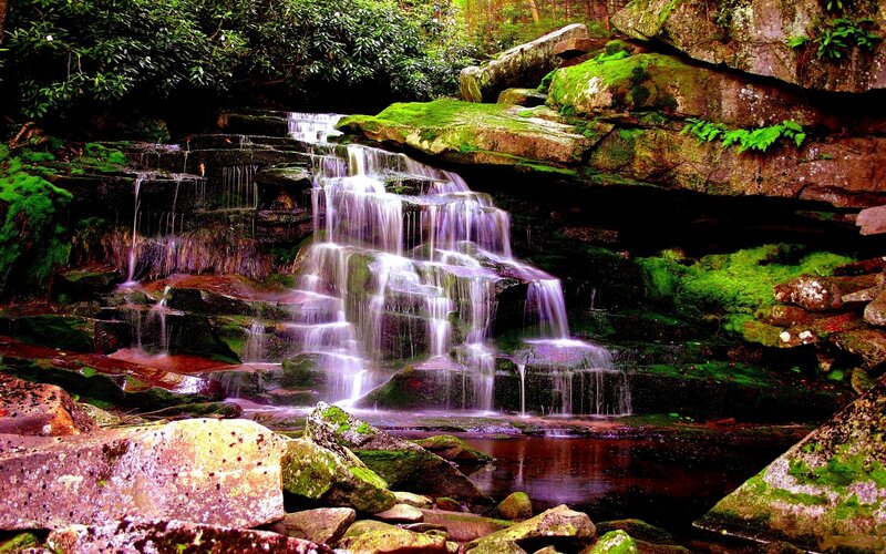 Waterfall on Mossy Rocks — Green, Serene, Photograph, Moss, Trees