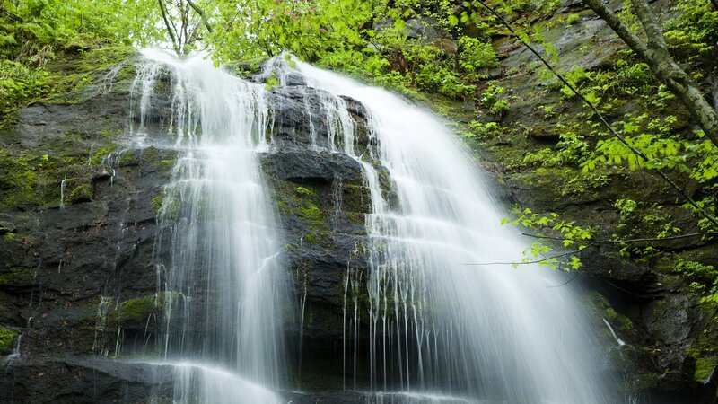 Waterfall on Mossy Rocks — Green, Serene, Spring
