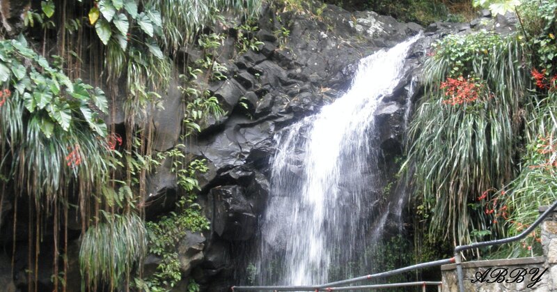Waterfall on Rocky Cliff — Green, Natural, Photograph, Plants