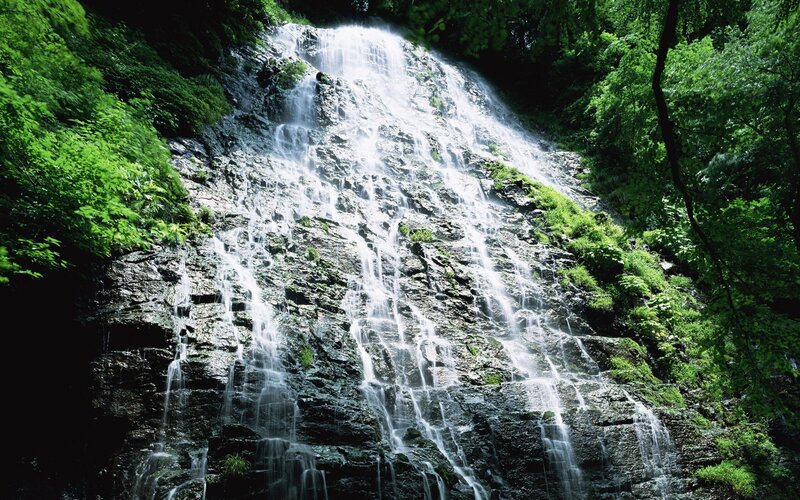 Waterfall on Rocky Cliff — Green, Serene, Afternoon, Photograph, Trees, Rocks, Moss