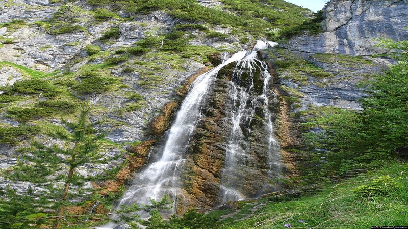 Waterfall on Rocky Cliff — Green, Serene, Afternoon, Photograph, Trees, Rocks