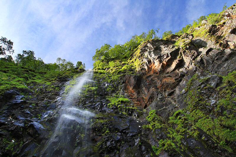 Waterfall on Rocky Cliff — Green, Serene, Afternoon, Photograph, Trees