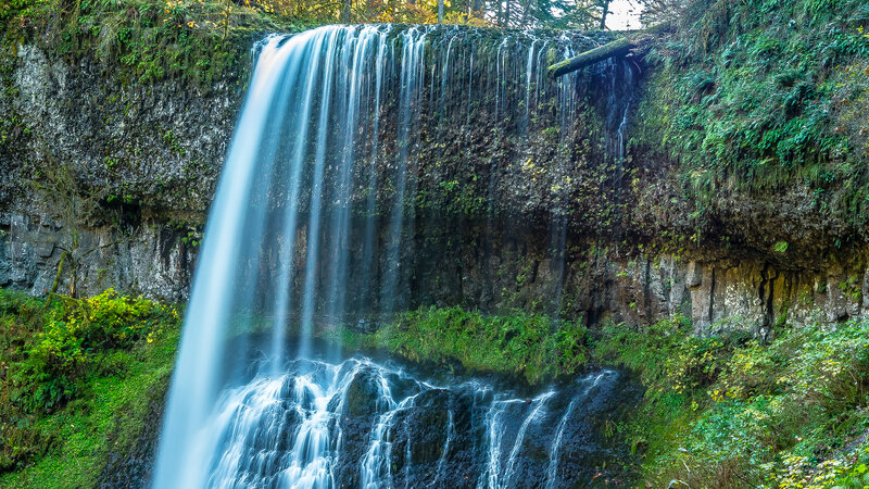 Waterfall on Rocky Cliff — Green, Serene, Autumn, Photograph, Trees, Vegetation
