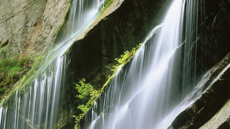 Waterfall on Rocky Cliff — Green, Serene, Photograph, Rock, Moss, Plants