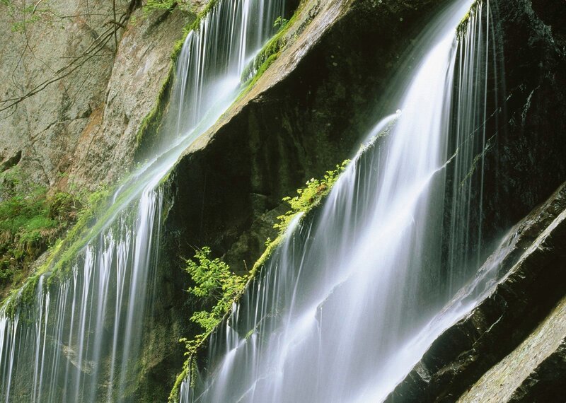 Waterfall on Rocky Cliff — Green, Serene, Photograph, Rock, Moss, Plants, White, Gray