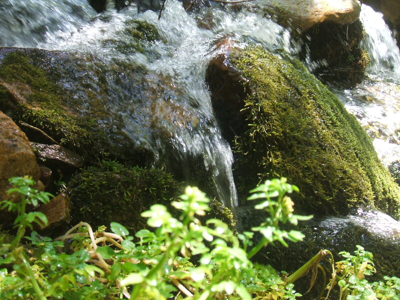 Waterfall over mossy rocks