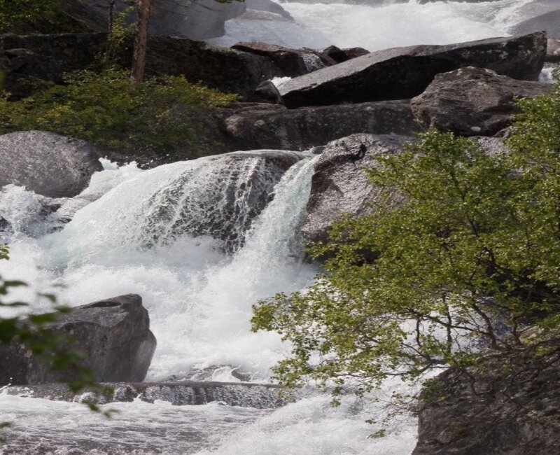 Waterfall over Rocks — Green, Dynamic