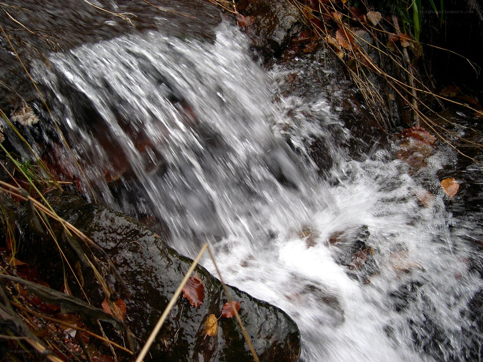 Waterfall over rocks in autumn