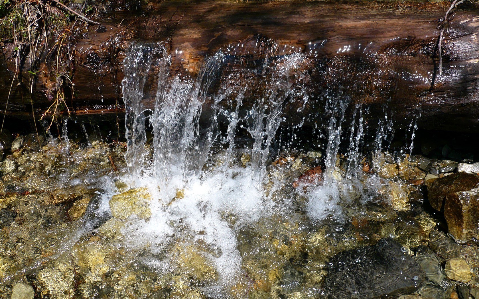 Waterfall over rocks in forest
