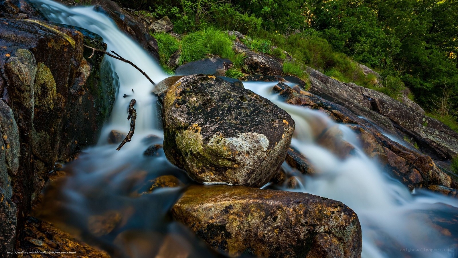 Waterfall over rocks in forest