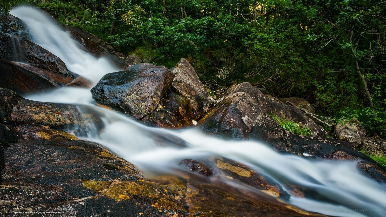 Waterfall over rocks in forest