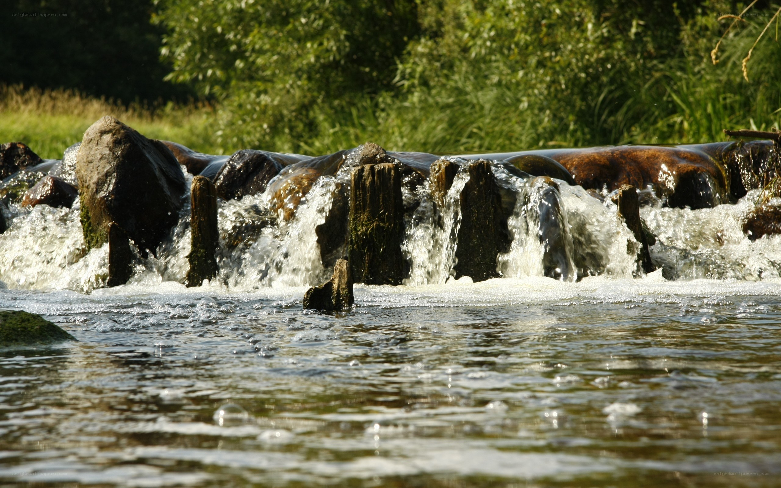 Waterfall over rocks in forest