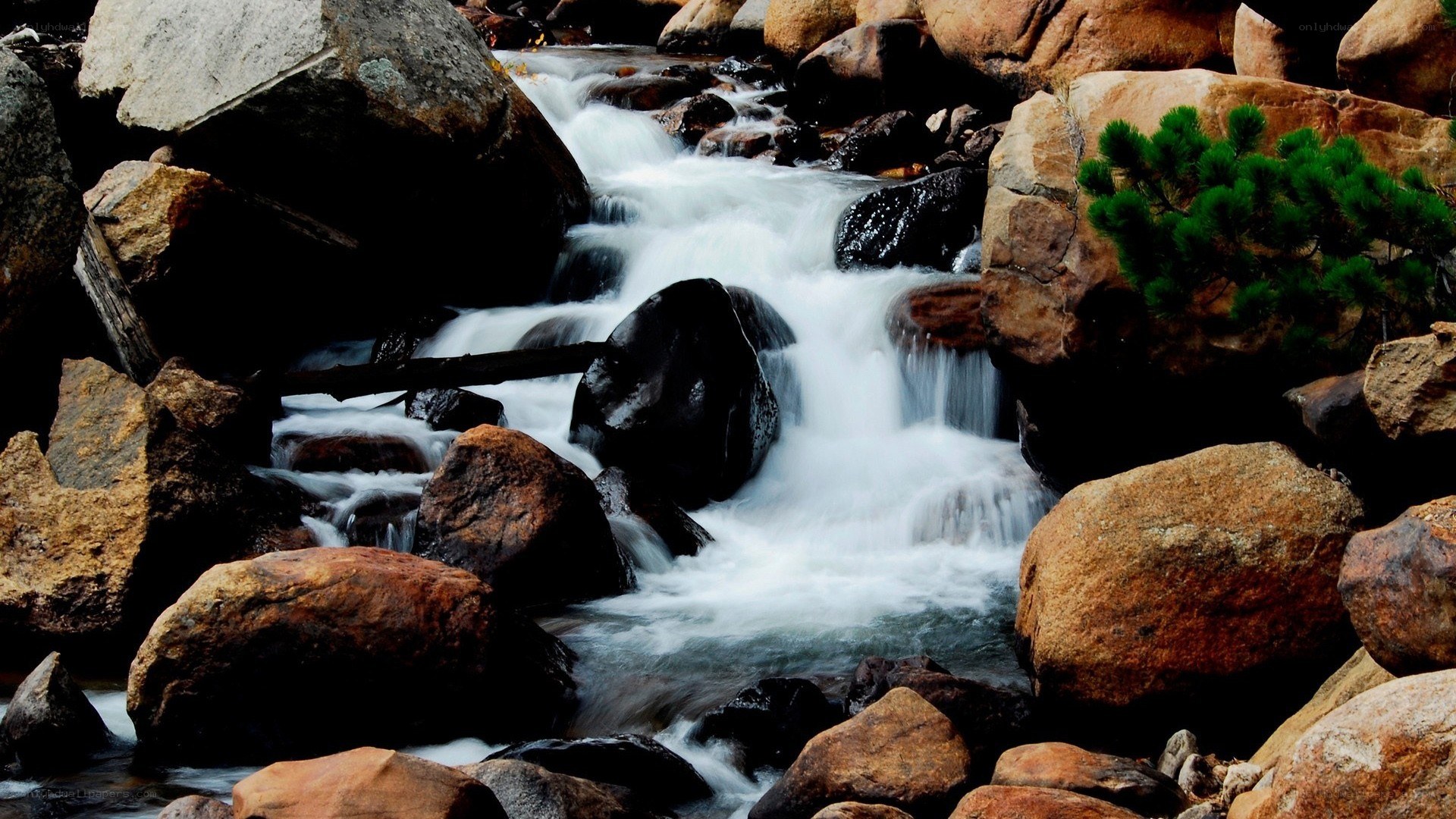 Waterfall over rocks in forest