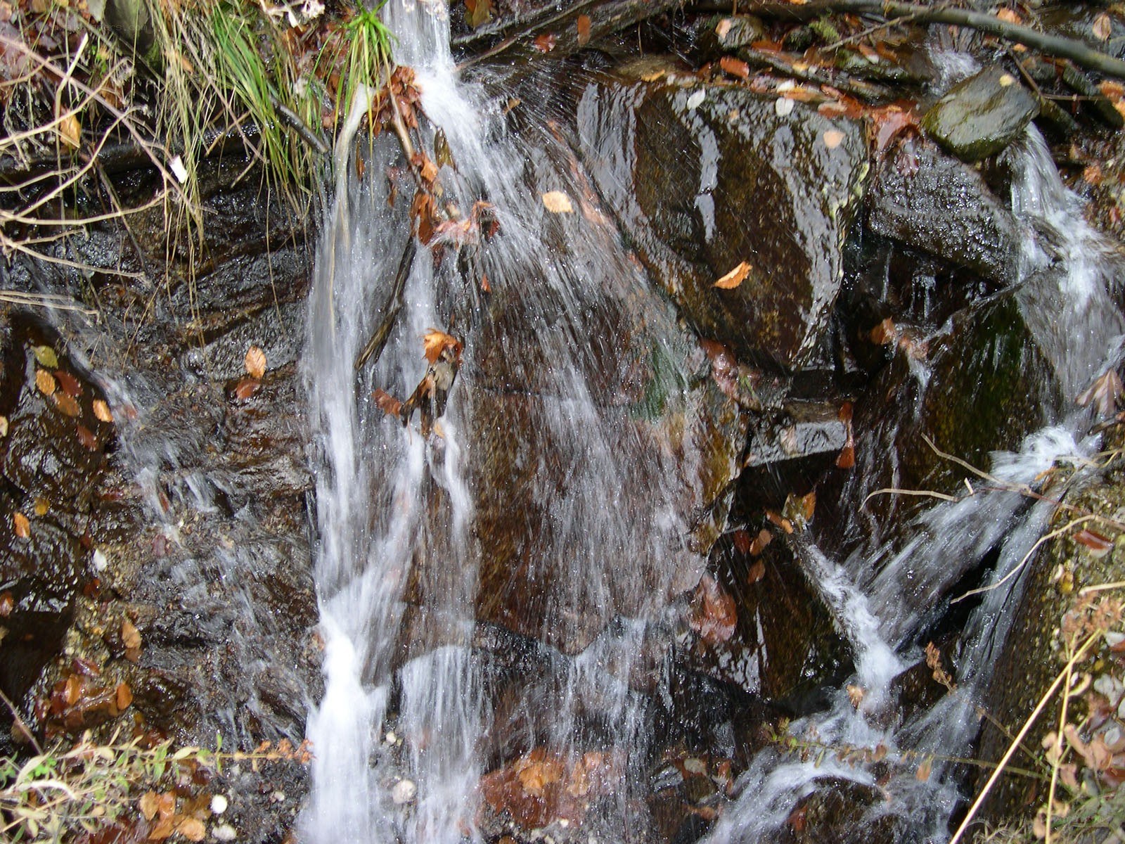 Waterfall over rocks with leaves
