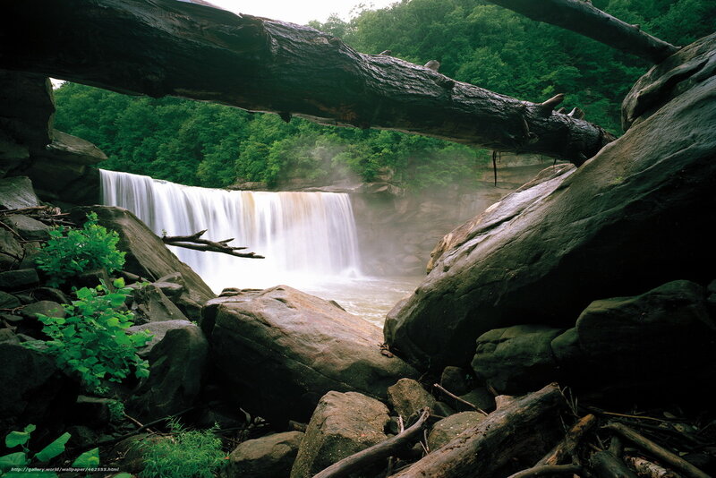 Waterfall through fallen log