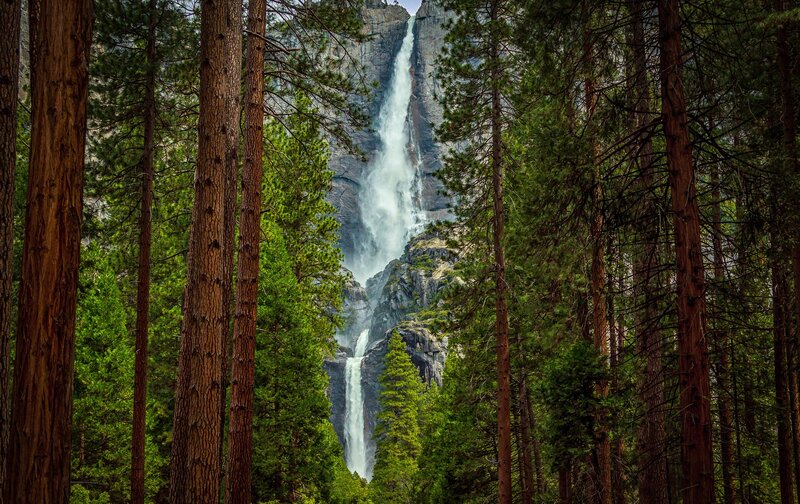 Waterfall Through Forest