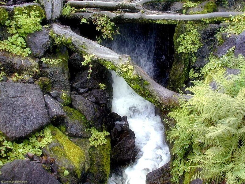Waterfall through mossy rocks