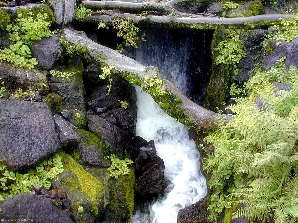 Waterfall through mossy rocks