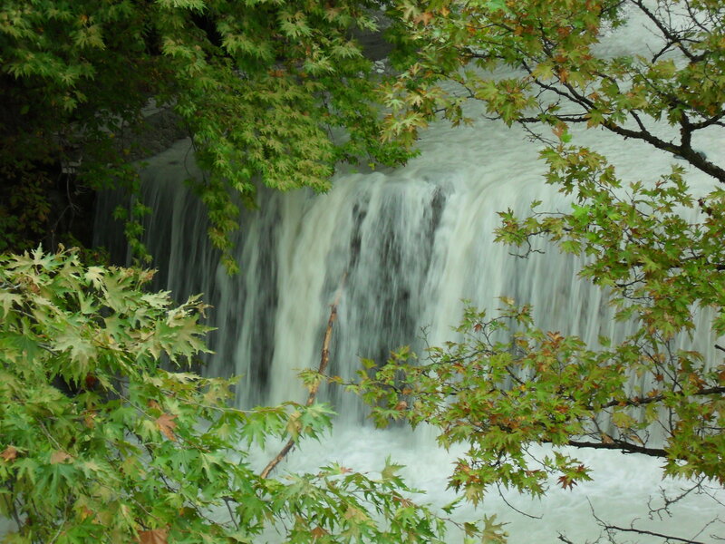 Waterfall Through Trees