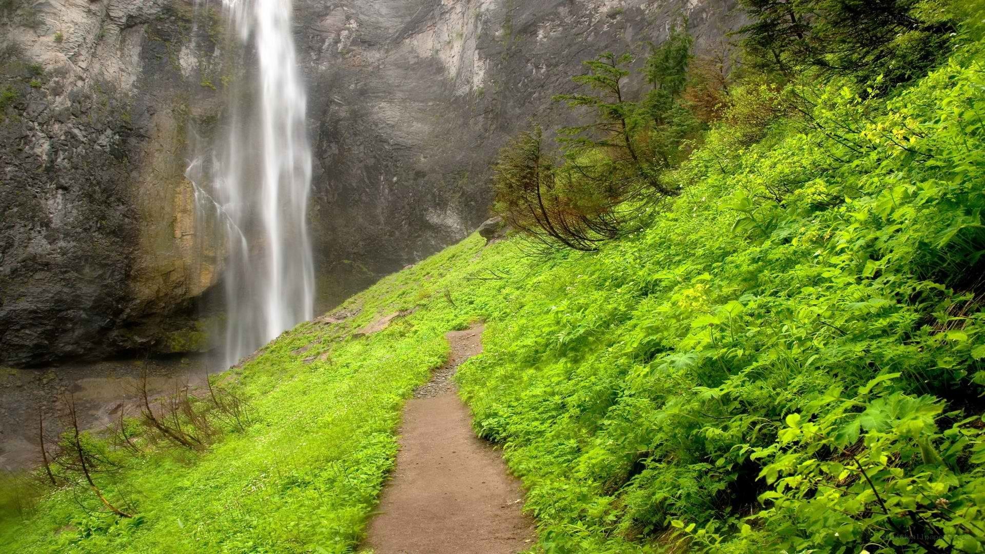 Waterfall trail in lush forest