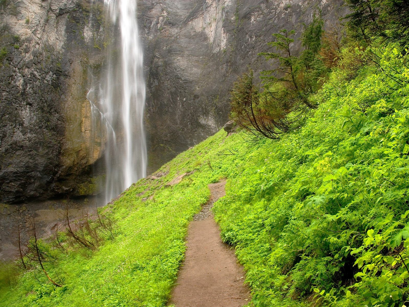 Waterfall trail in lush forest