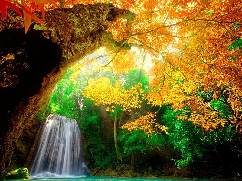 Waterfall under Autumn Trees — Orange