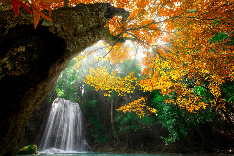 Waterfall under Autumn Trees