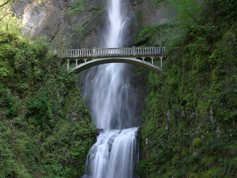 Waterfall under Bridge — Green, Serene, Afternoon