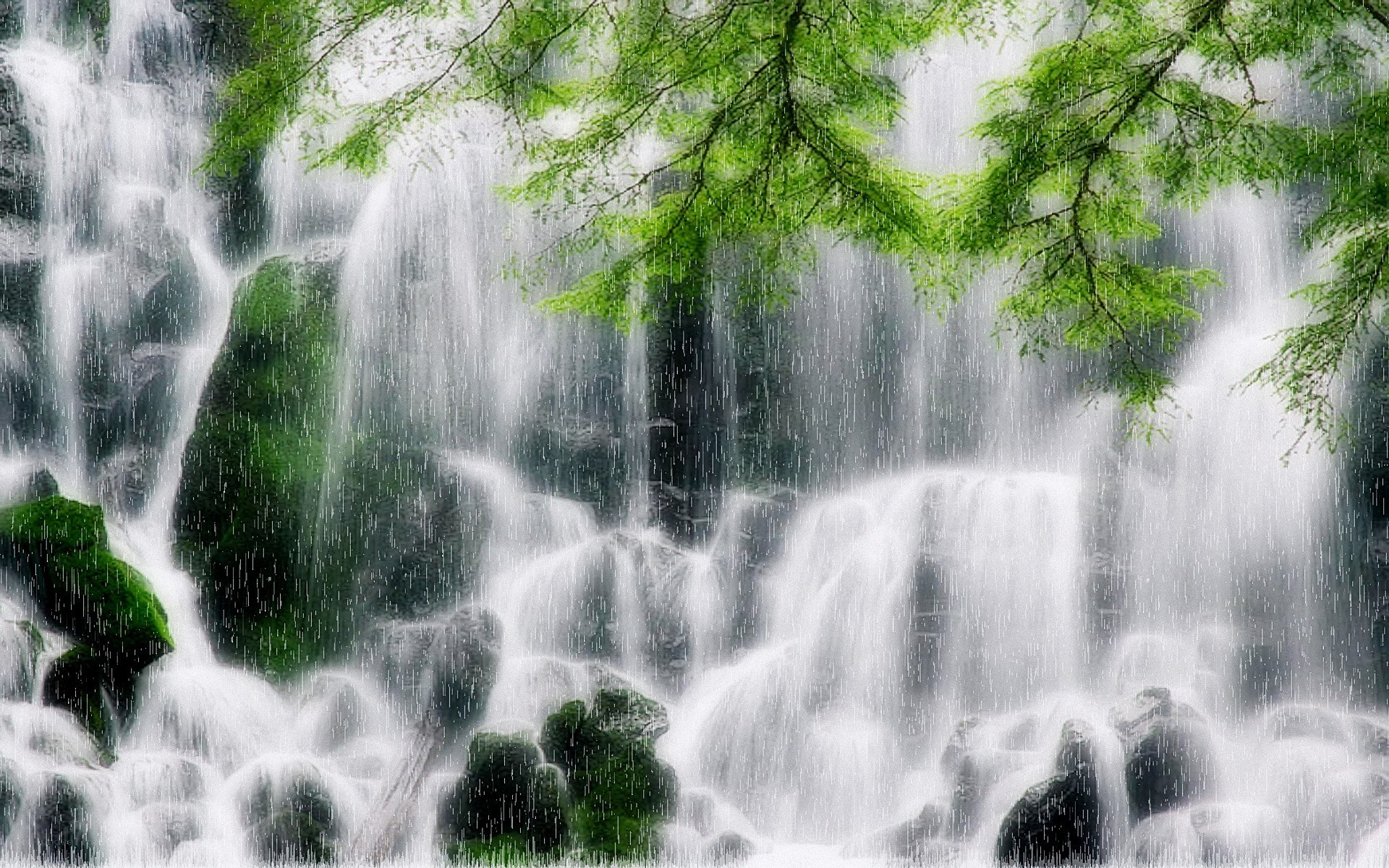 Waterfall under green trees