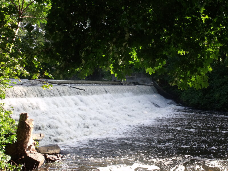 Waterfall under leafy canopy