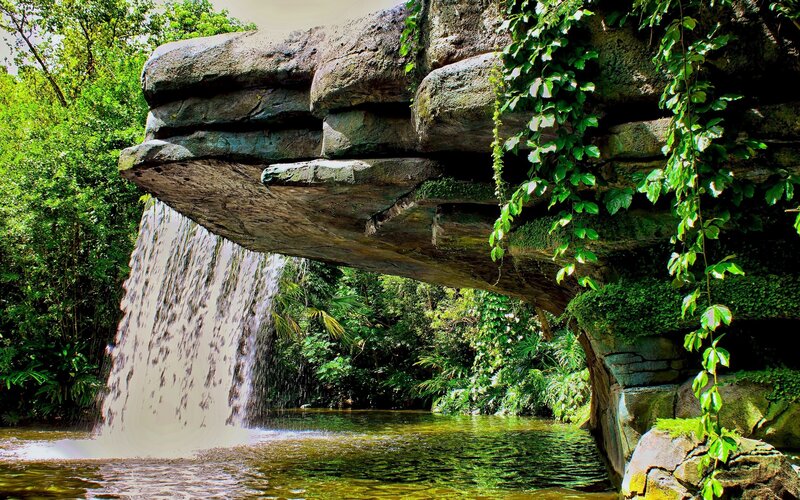 Waterfall under Rock Overhang — Green, Serene, Afternoon, Photograph, Vegetation