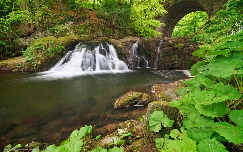 Waterfall under Stone Bridge — Green, Serene, Spring, Photograph