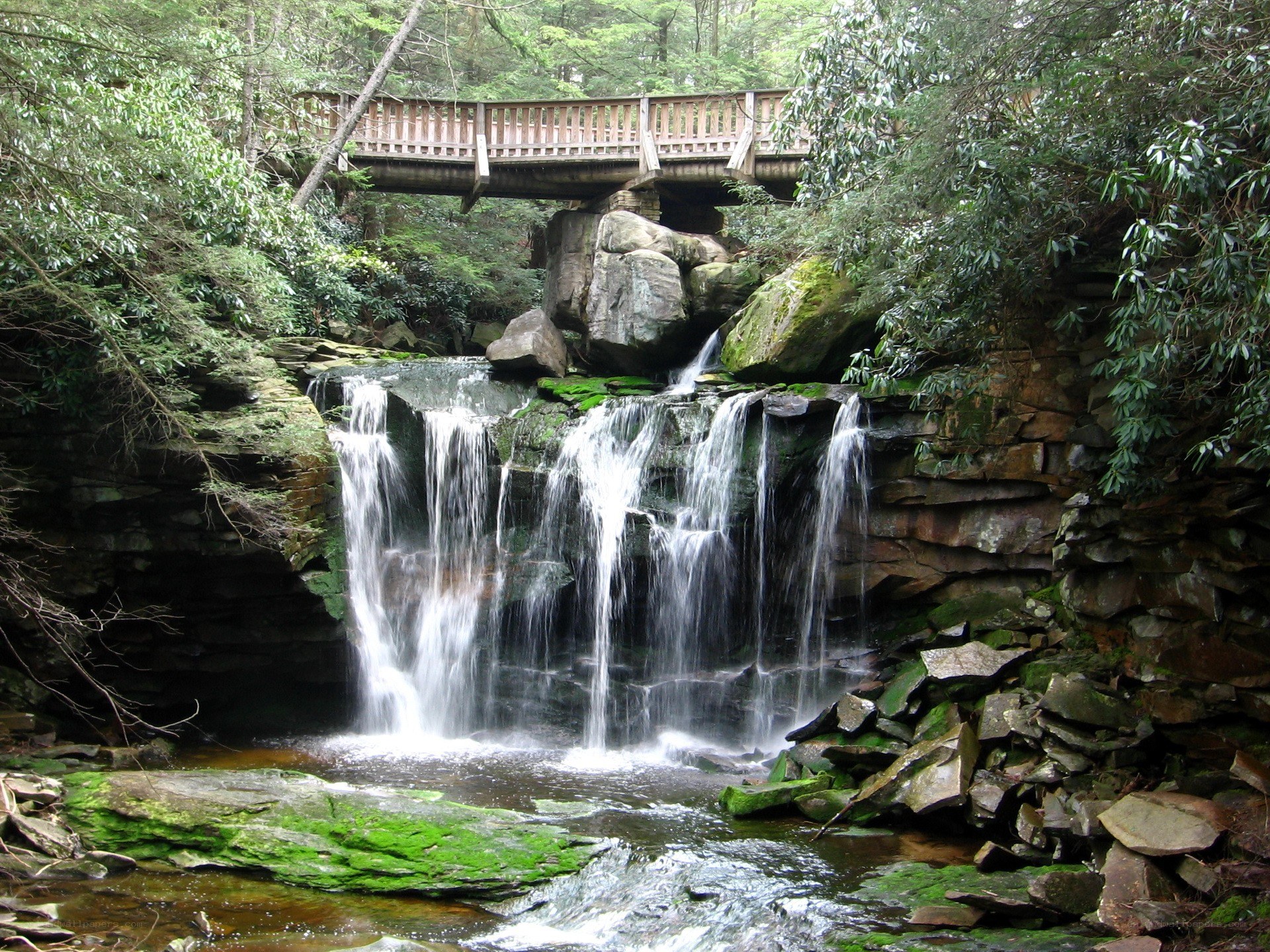 Waterfall under wooden bridge