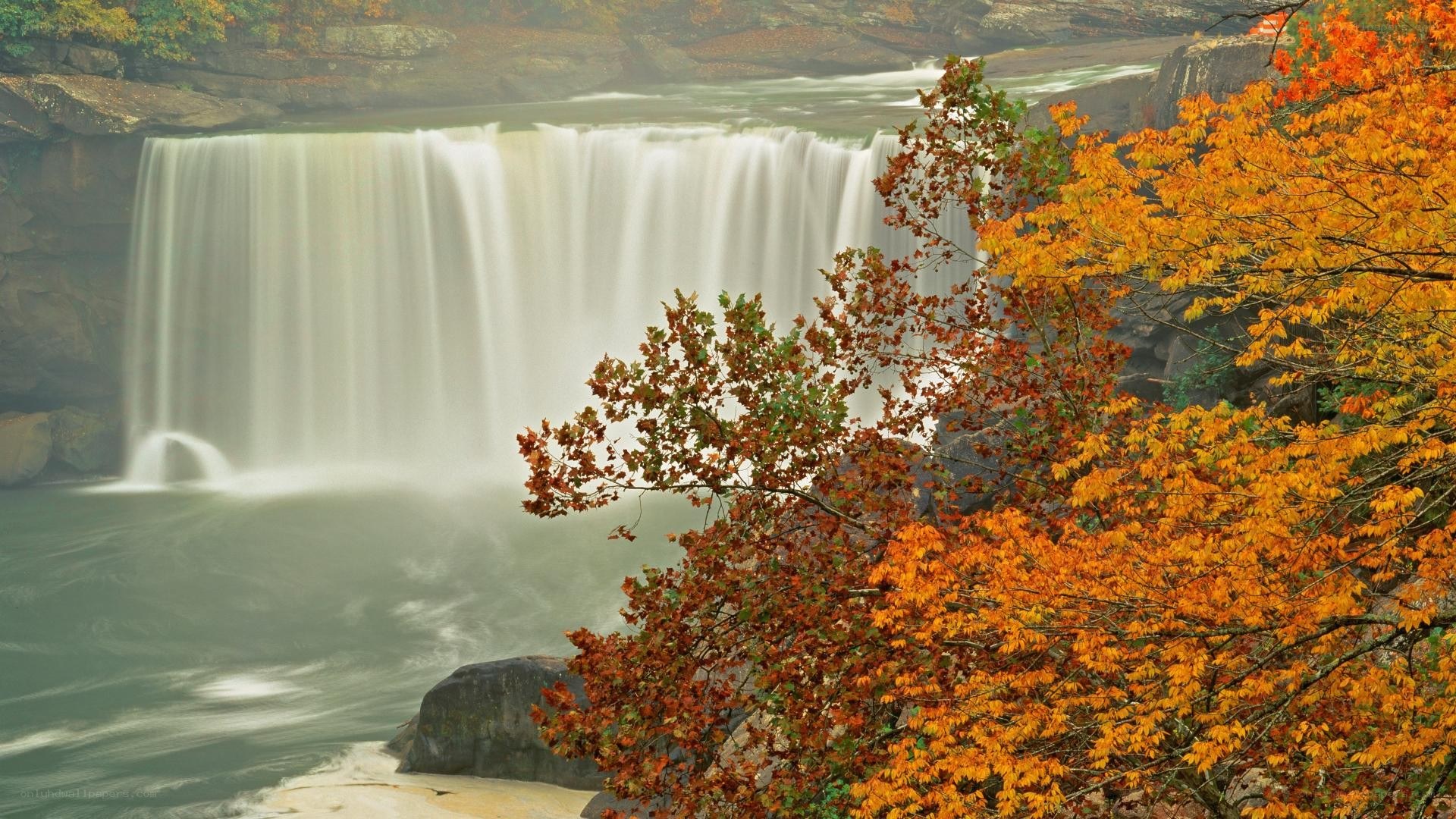 Waterfall with autumn foliage