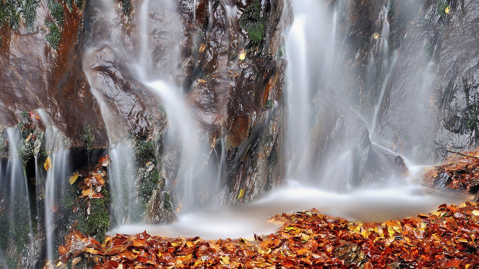 Waterfall with autumn leaves