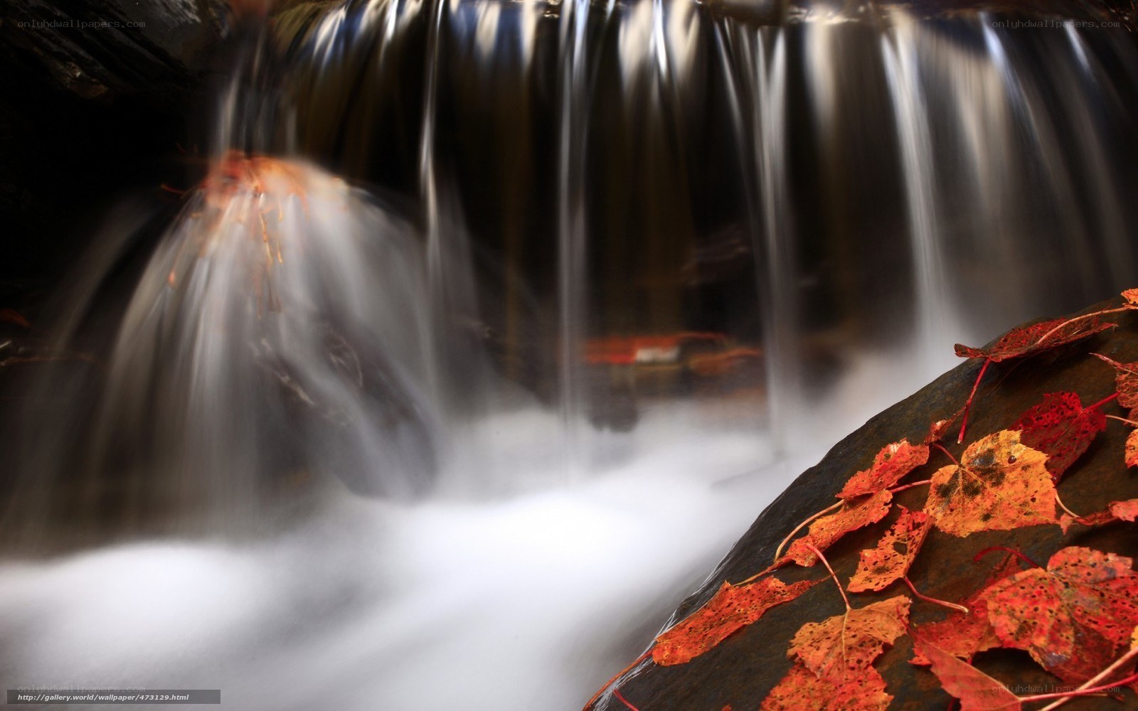 Waterfall with autumn leaves