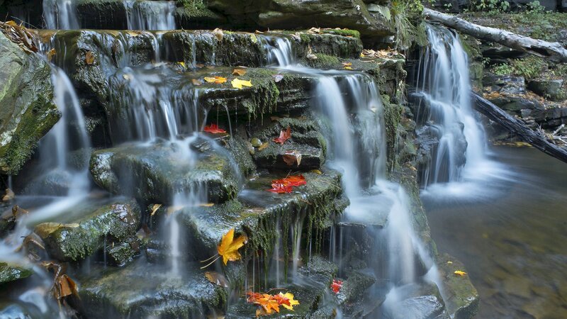 Waterfall with autumn leaves
