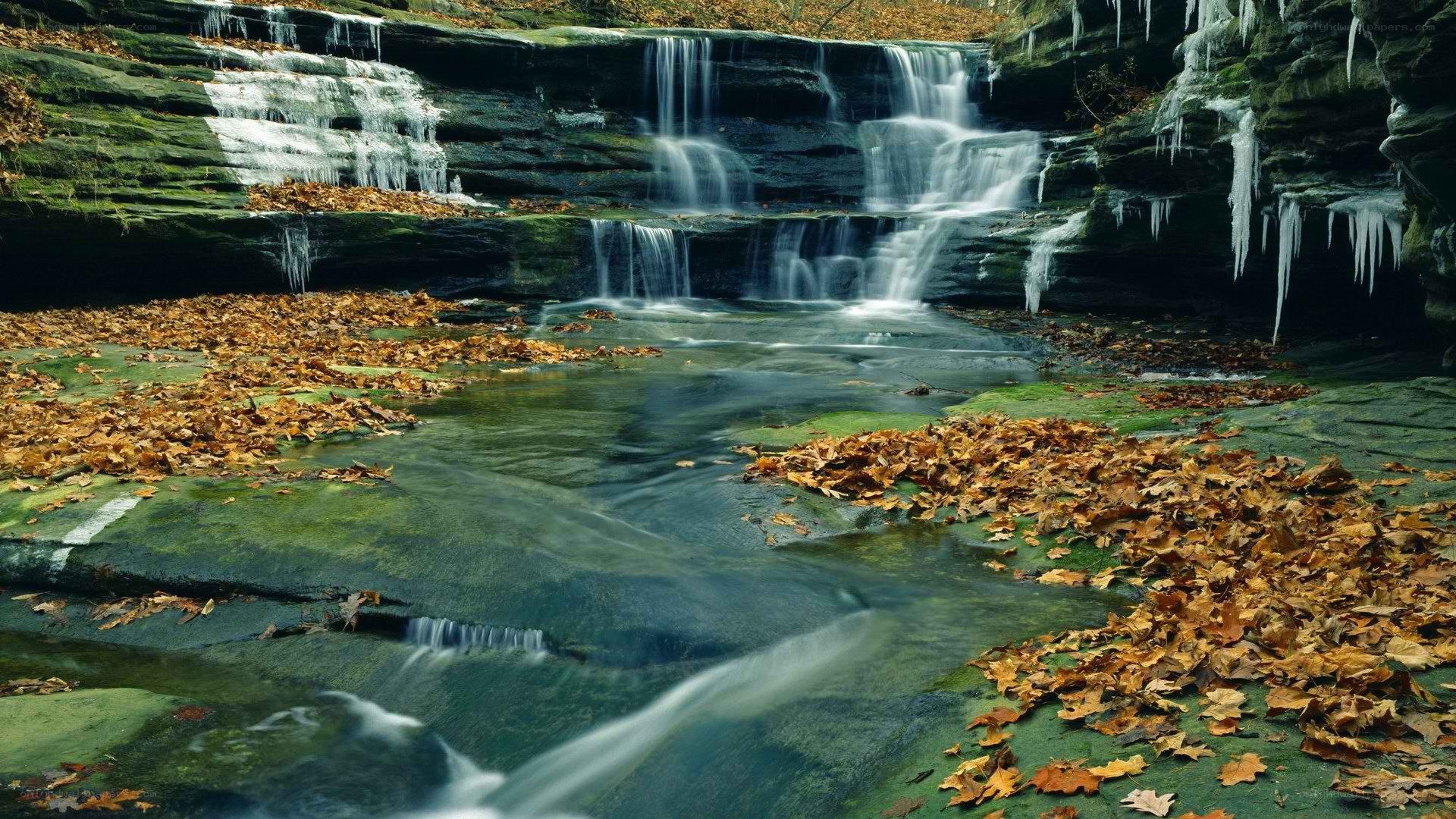Waterfall with autumn leaves