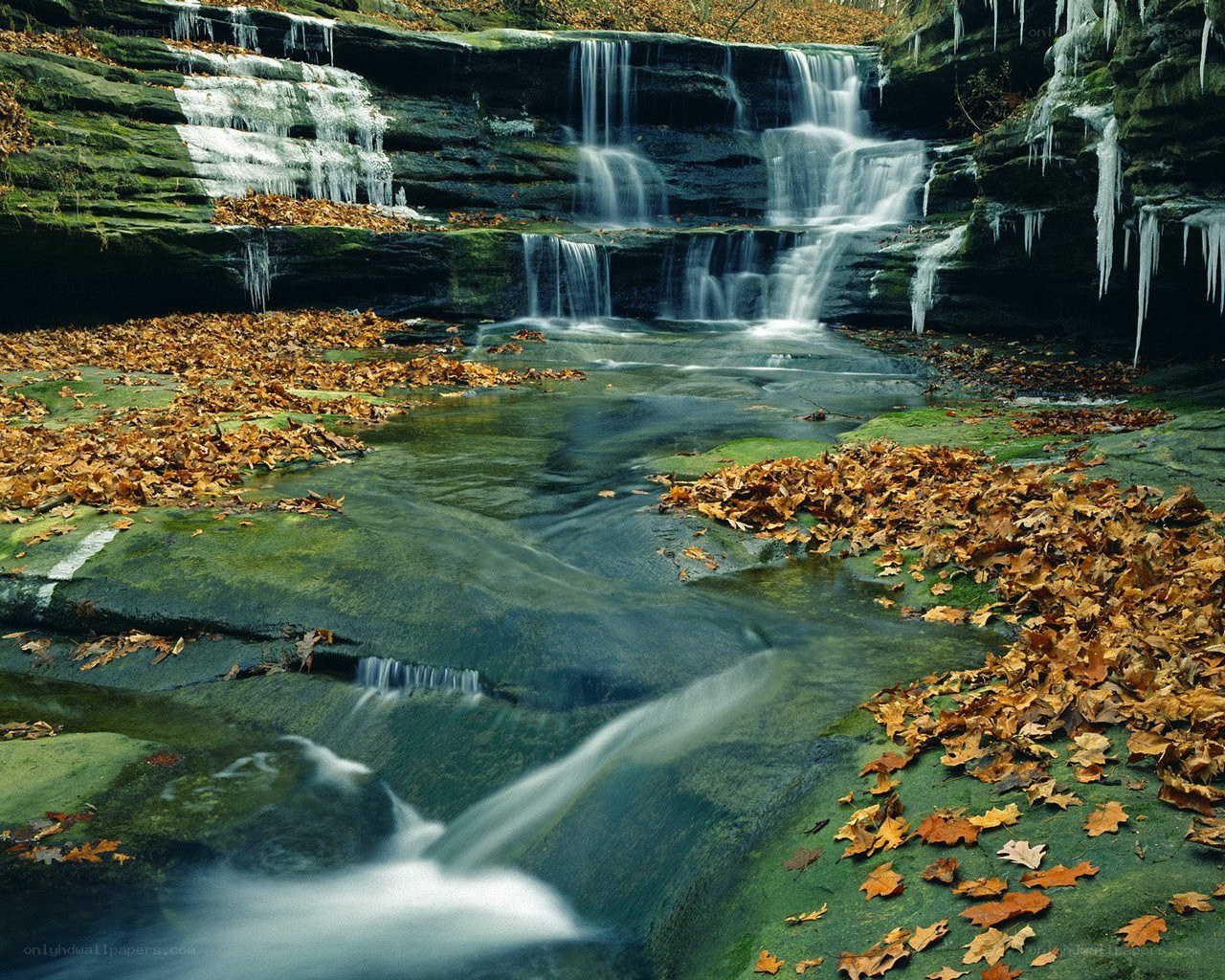 Waterfall with autumn leaves