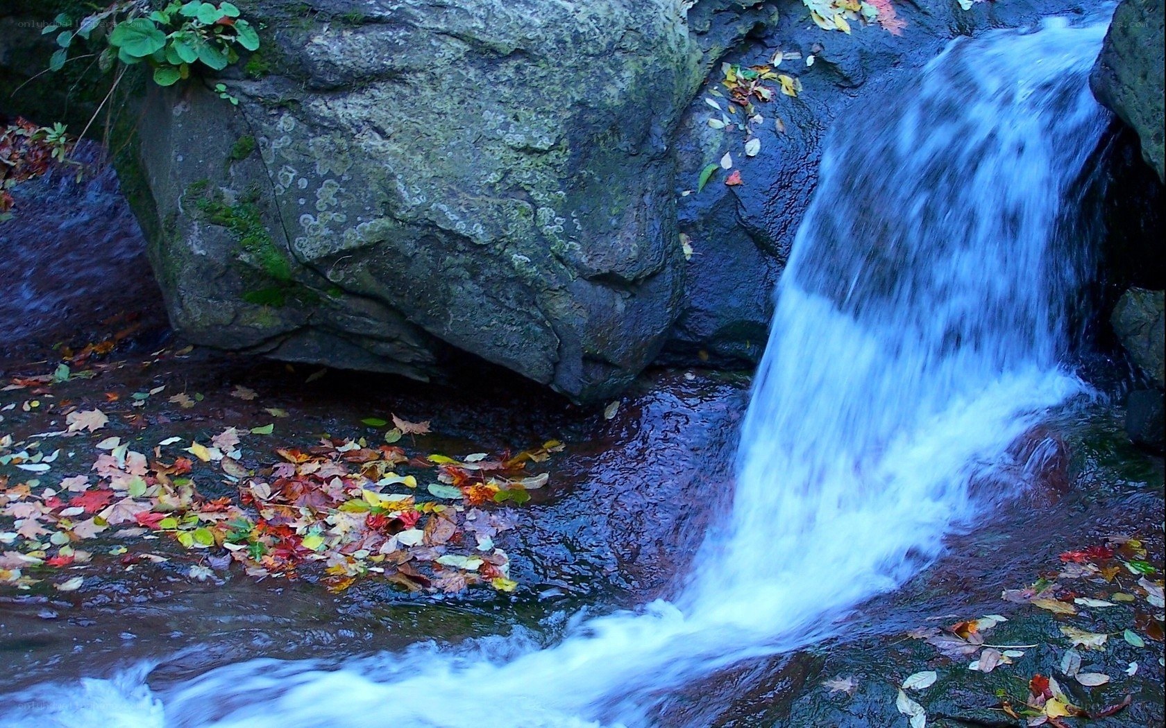 Waterfall with autumn leaves
