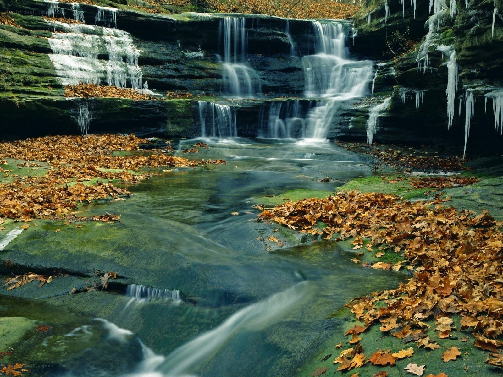 Waterfall with autumn leaves