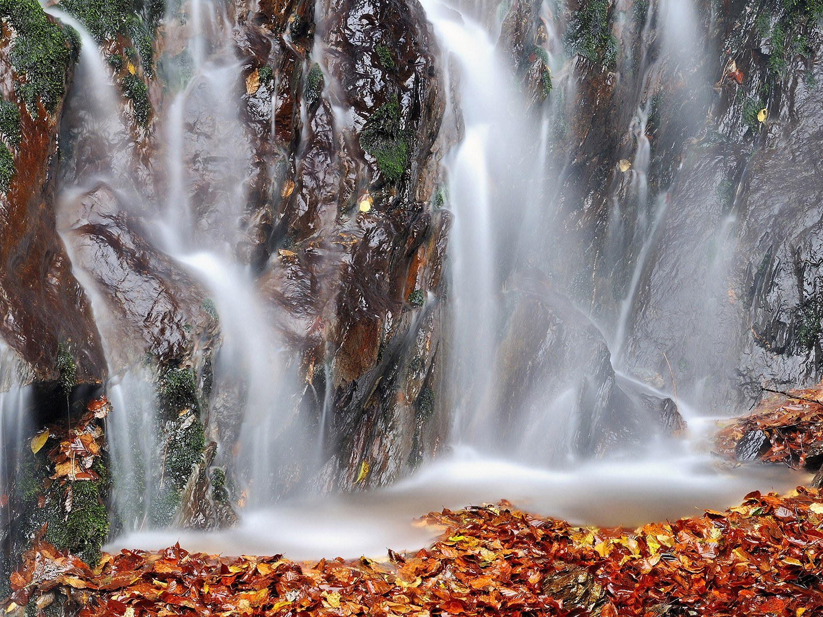 Waterfall with autumn leaves