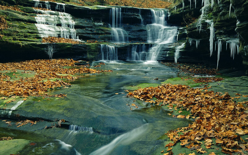Waterfall with Autumn Leaves — Green, Serene