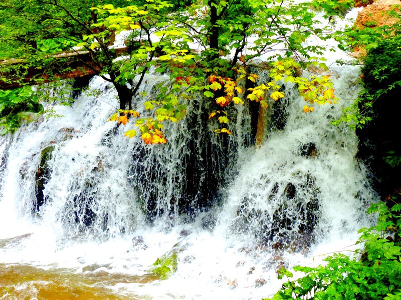 Waterfall with Autumn Leaves — Green
