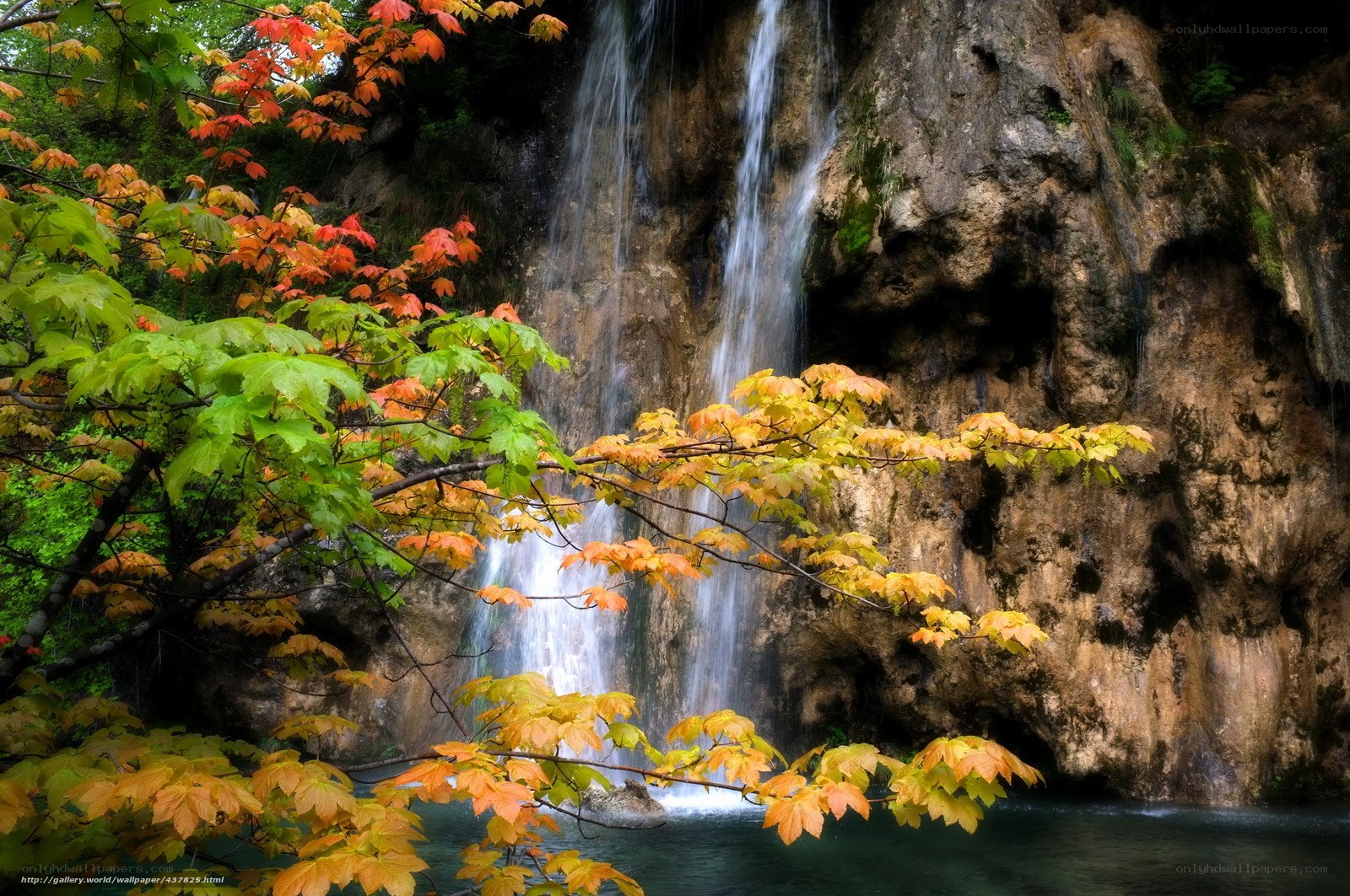 Waterfall with autumn leaves